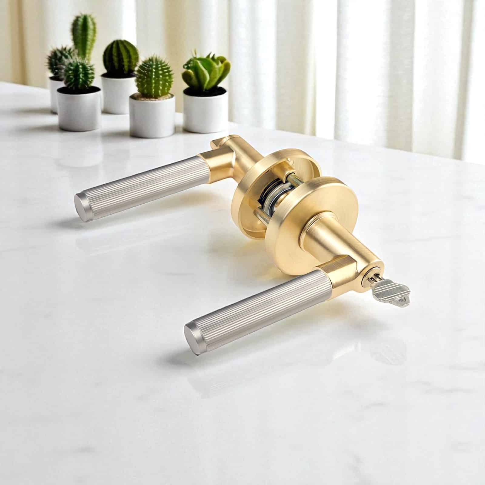 Interior Door Handle – LINA ( Linear Design) Round