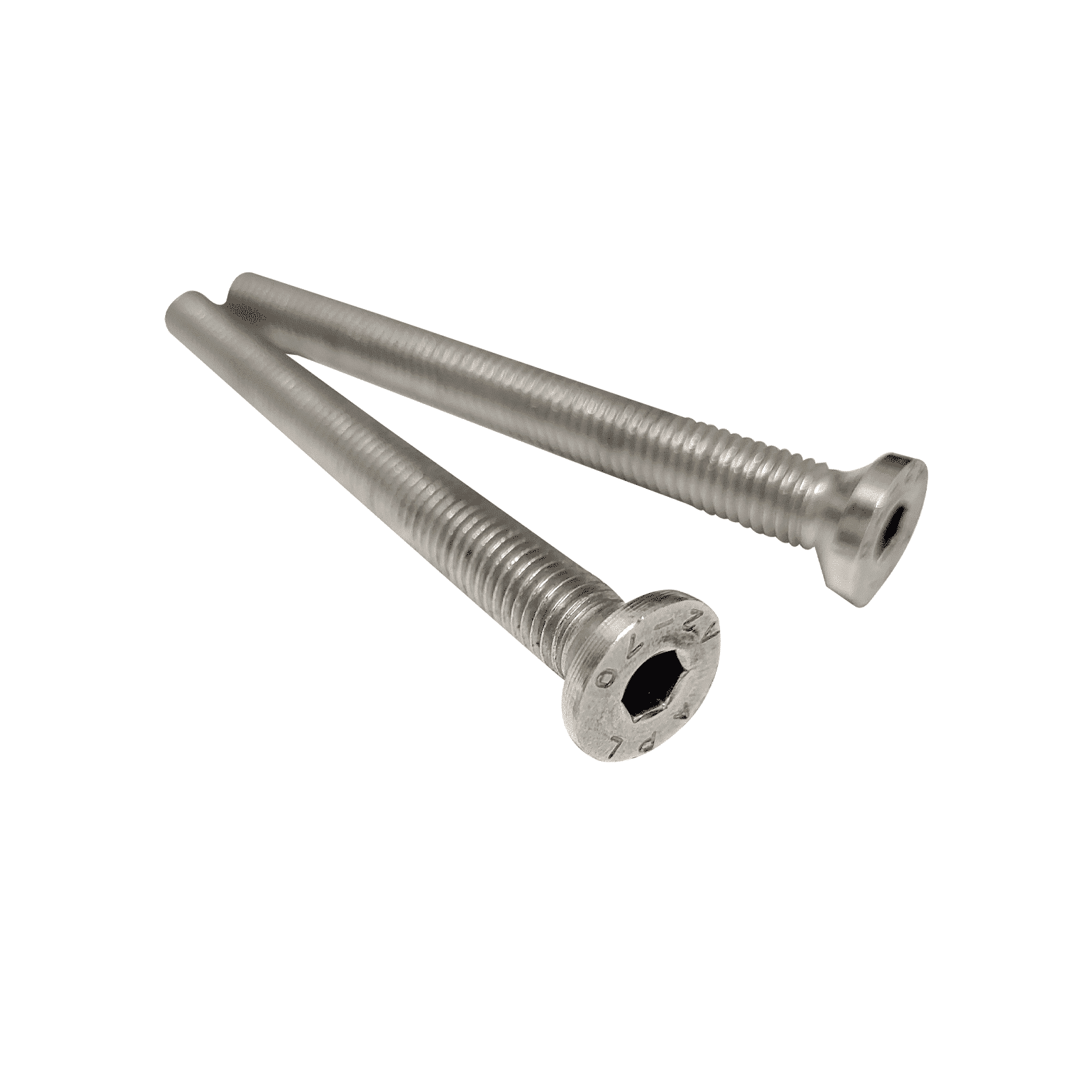 Boulons longs : acier inoxydable 304 M8 x 120 mm (lot de 2)