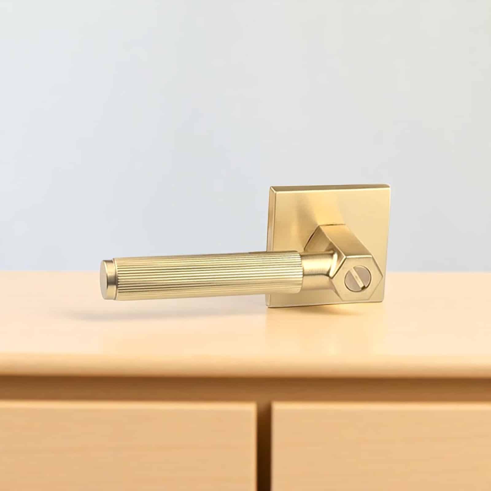 Interior Door Handle - LINA ( Linear Design) Square