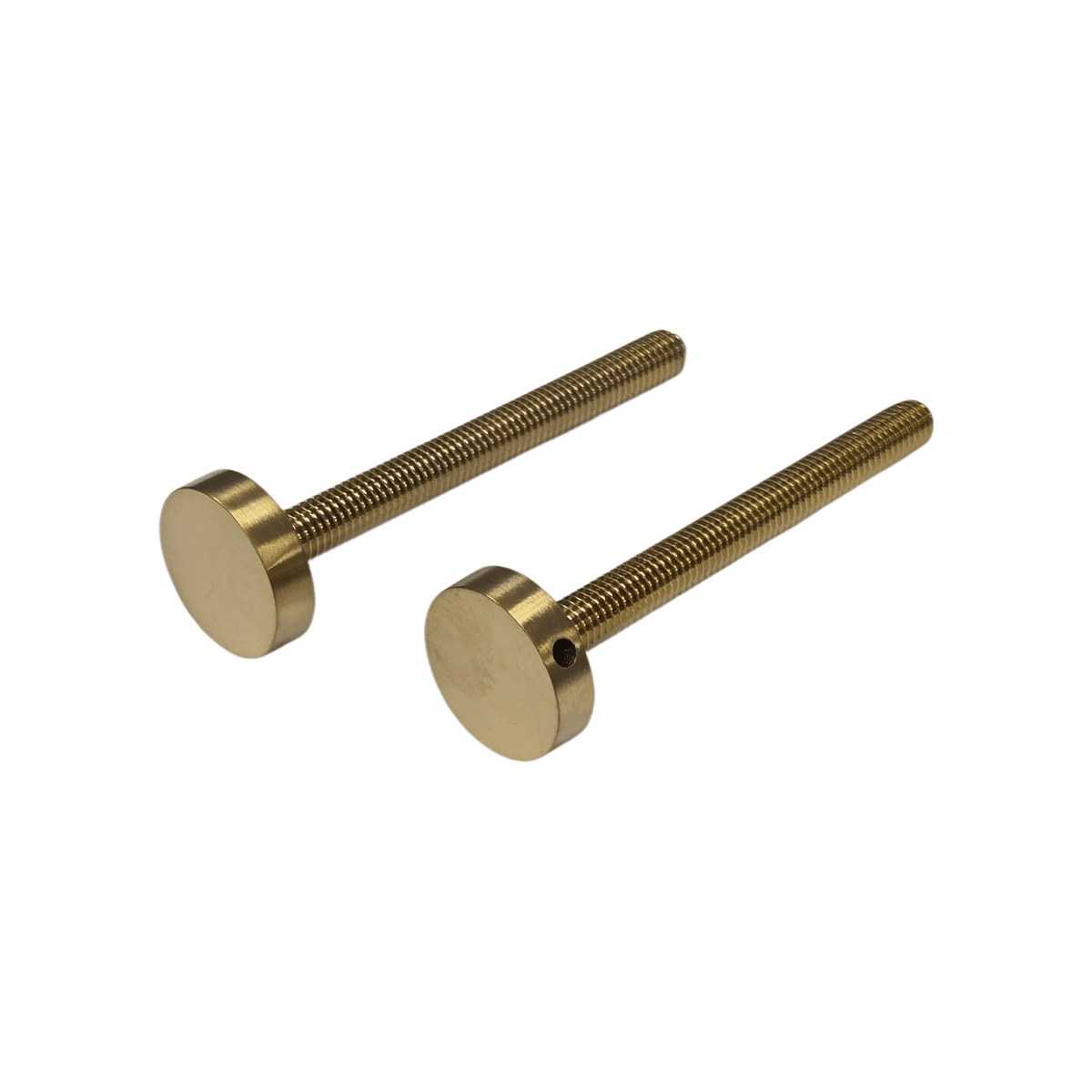 Boulons longs avec embouts : acier inoxydable 304 (lot de 2)