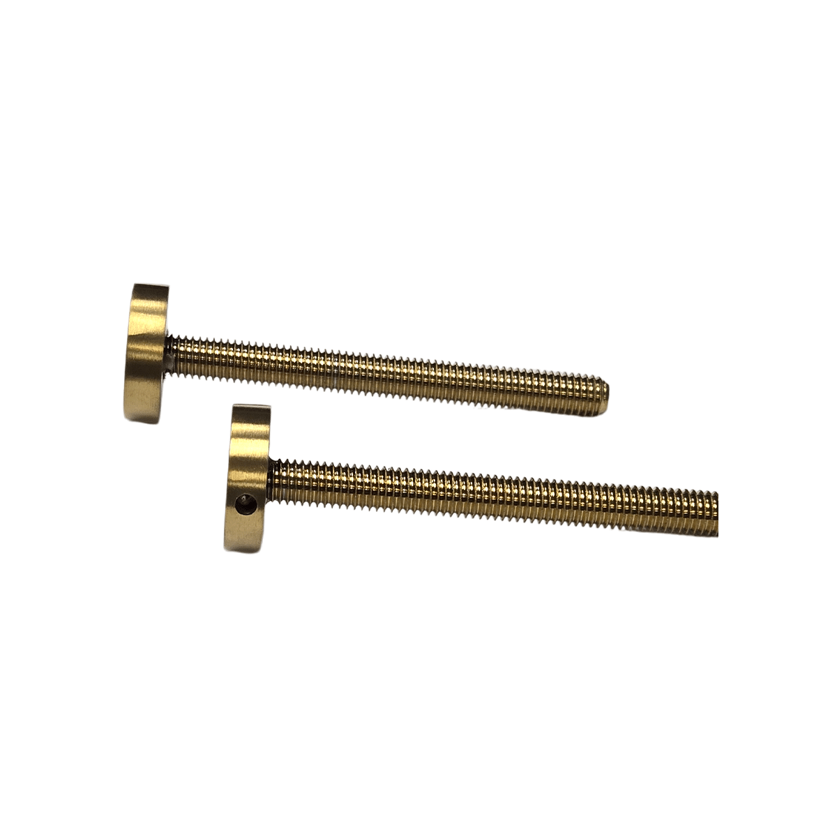Boulons longs avec embouts : acier inoxydable 304 (lot de 2)