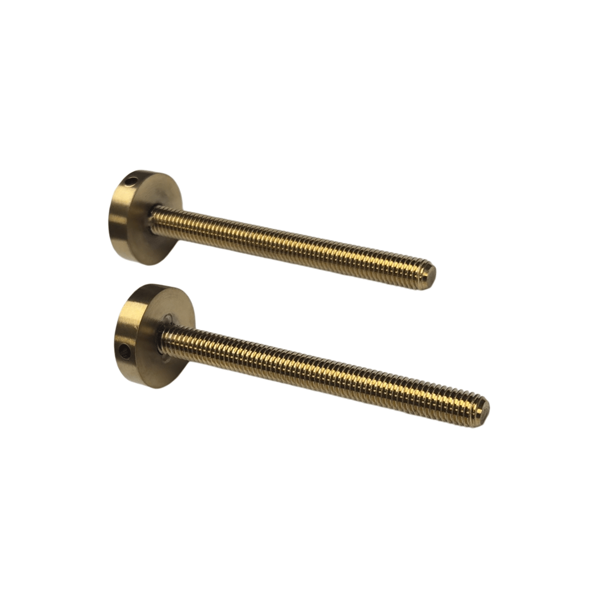 Boulons longs avec embouts : acier inoxydable 304 (lot de 2)