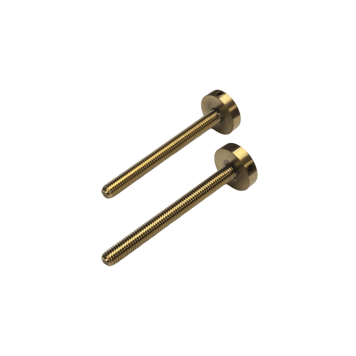 Boulons longs avec embouts : acier inoxydable 304 (lot de 2)