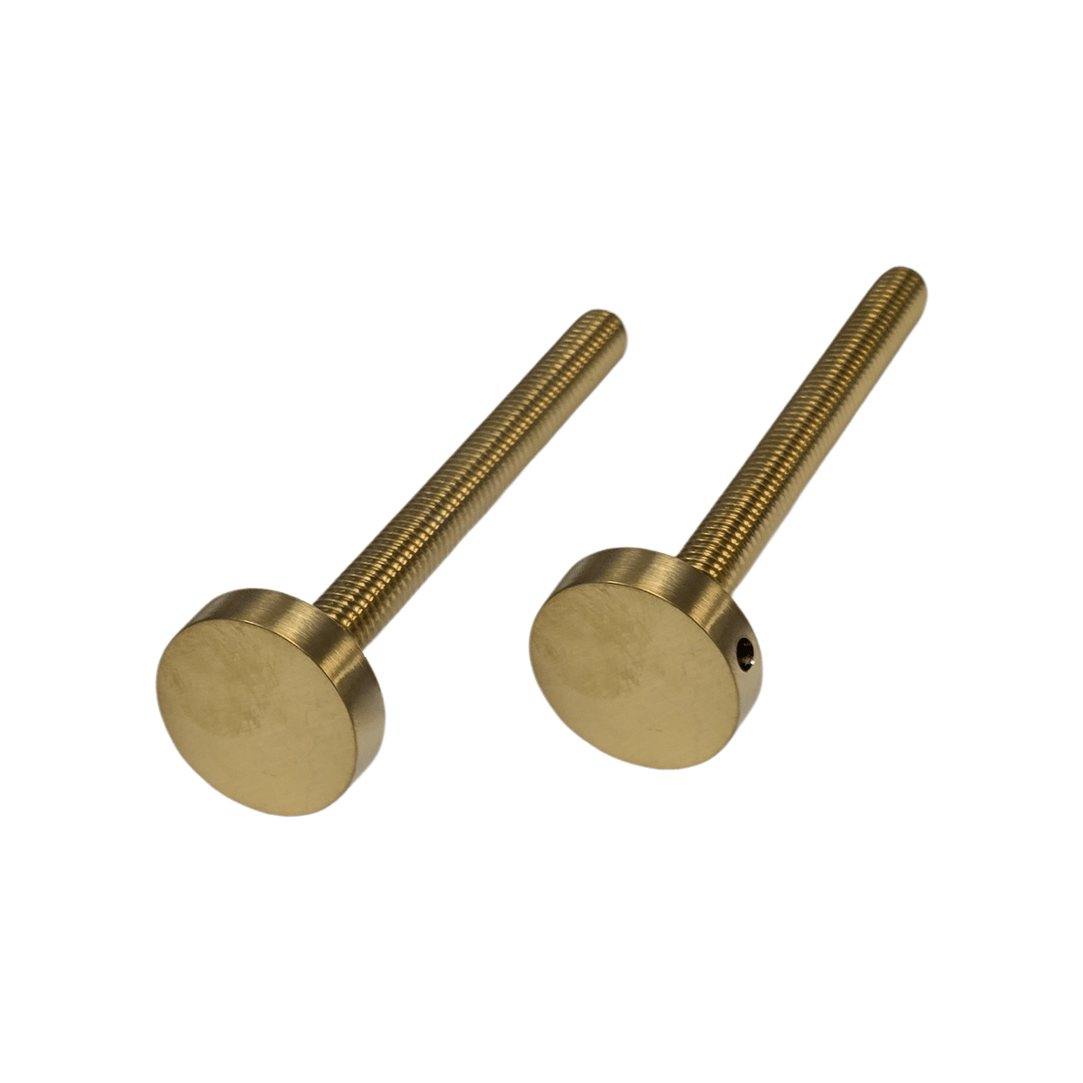 Boulons longs avec embouts : acier inoxydable 304 (lot de 2)